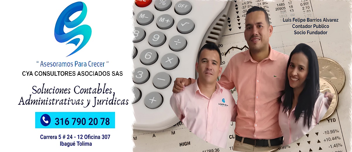 Contador publico ibague